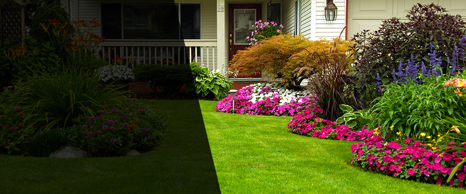 Poca Landscapers