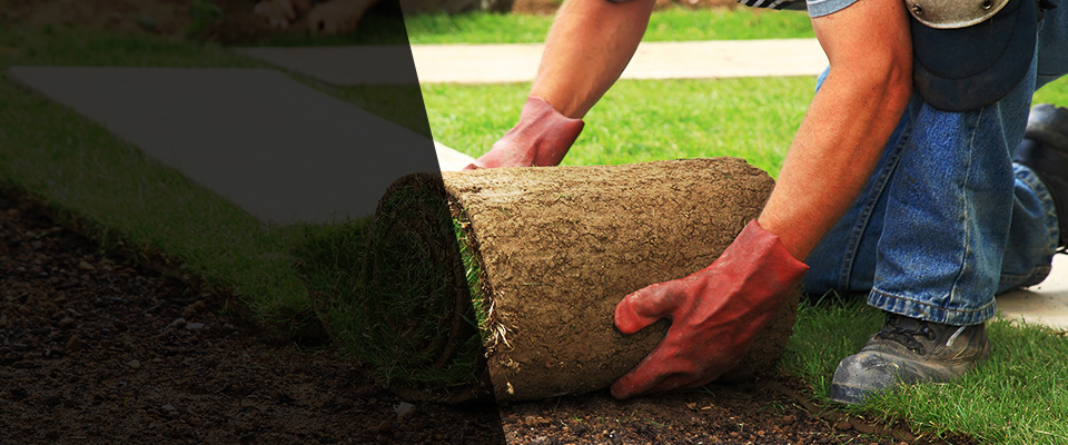 Poca Landscapers